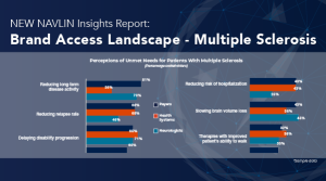 Brand Access Landscape: MS