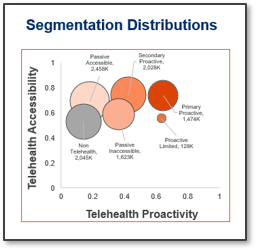 Segmentation Distribution in Telehealth Proactivity and Accessibility