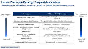 Human Phenotype Ontology Frequent Associations